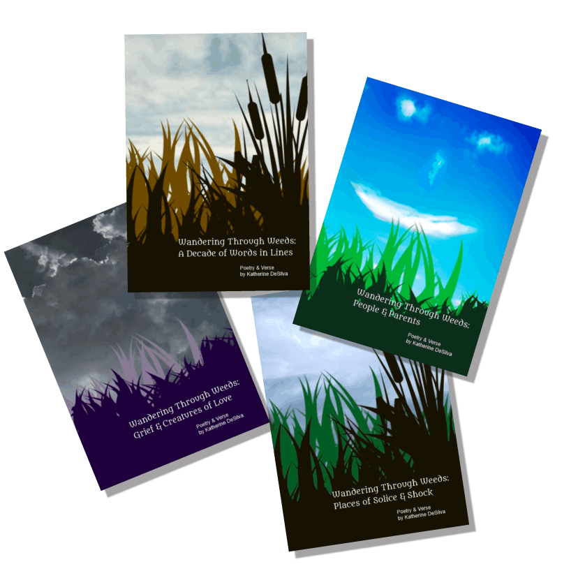 Books Katherine DeSilva